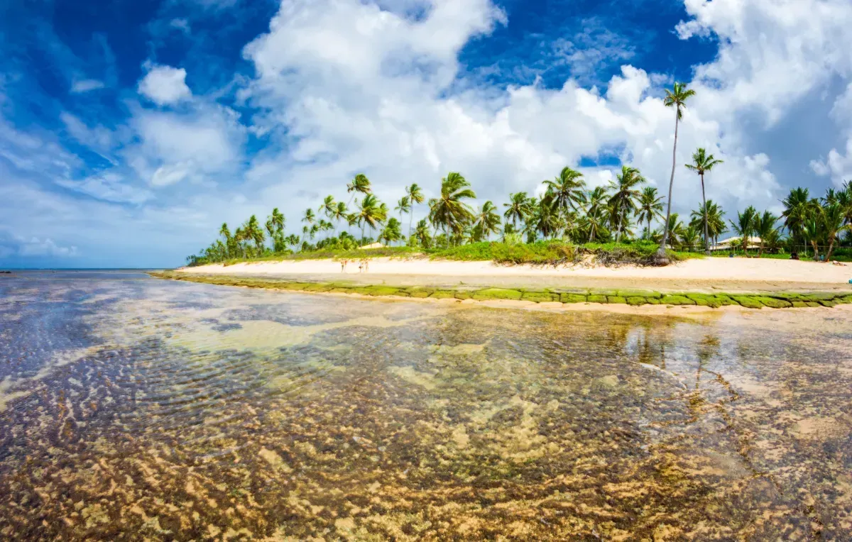 Imagem da galeria de Praia do Forte